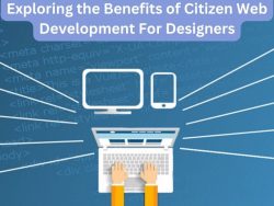 Exploring the Benefits of Citizen Web Development For Designers