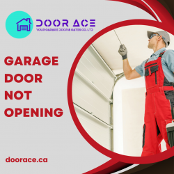 Solve the Problem of Your Garage Door Not Opening in Langley
