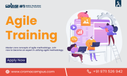 Agile Online Training in India