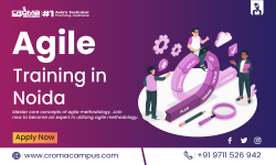 Agile Training Institute in Noida