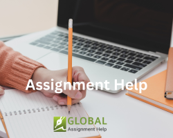 Get best online assignment help in US from experts