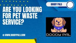 Dog Poop Pick Up Service Near Me