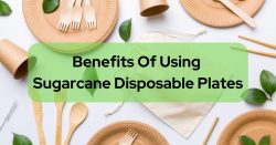 Sugarcane Disposable Plates