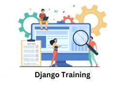 Best Certification – Django Online Training | ShapeMySkills