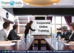 Best Corporate Training Company in Noida | ShapeMySkills