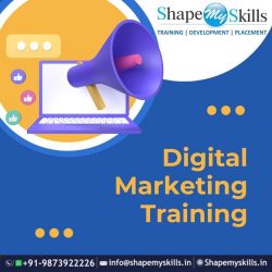 Best Digital Marketing Training in Noida | ShapeMySkills