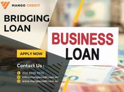 Visit Mango Credit to Get Bridging Loan