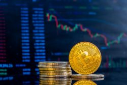 Navigating The Cryptocurrency Industry: Strategies For Increasing Your Odds