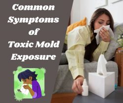 Common Symptoms of Toxic Mold Exposure