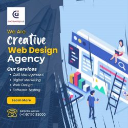 Creative Web Design Agency