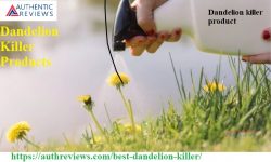 Dandelion Killer Products