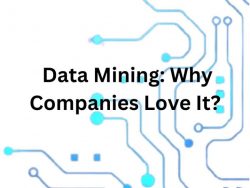 Data Mining: Why Companies Love It?