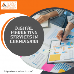 Digital Marketing Services In Zirakpur