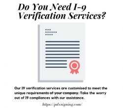 Do You Need Employment Verification Services
