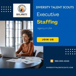 Executive Staffing Agency in USA