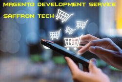 Magento Development Service | Saffron Tech