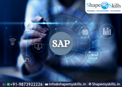 Find Your Career – SAP Training in Noida | ShapeMySkills