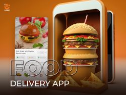 Best Food Delivery App Development Company USA and India