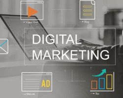 Fu Dog Media: The Top Digital Marketing Agency in Charleston for Driving Your Online Success