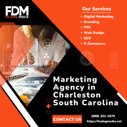 Fu Dog Media: The Top Marketing Agency in Charleston, South Carolina for Exceptional Digital Mar ...