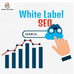 Get Best White Label SEO Services | Rank The Page