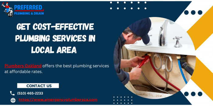 Get Cost-effective Plumbing Services in Local Area