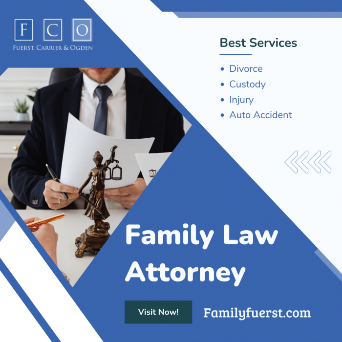 Get Legal Consultation for your Family