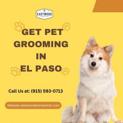 Get Pet grooming In El Paso