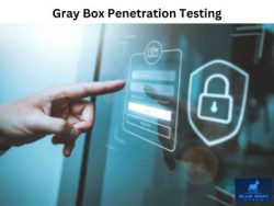 Unveiling Hidden Vulnerabilities: Gray Box Penetration Testing