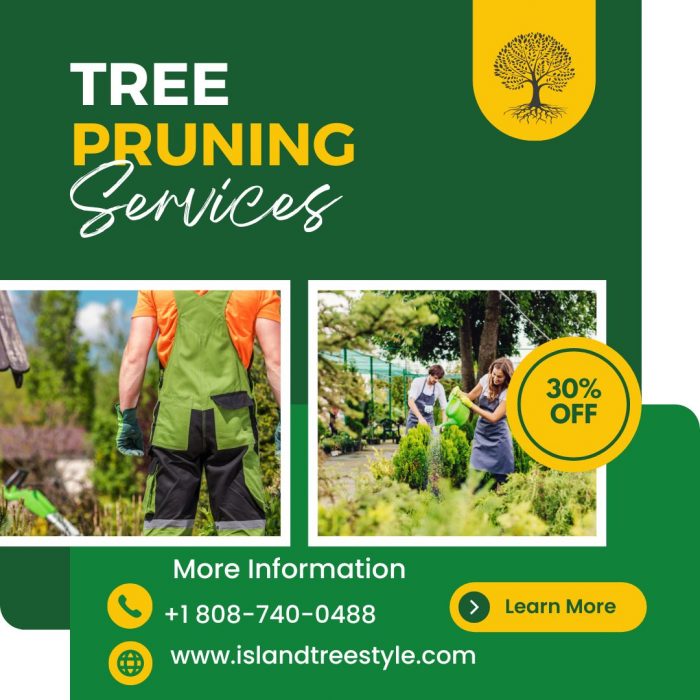 Tree Care and Tree Pruning Services | Island Tree Style