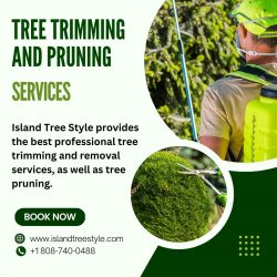 Tree Trimming and Pruning by Professionals