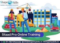 Grow Your Career – STAAD Pro Training in Noida | ShapeMySkills