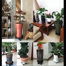 MOVABLE FLOWER POT STANDS: VERSATILE SOLUTIONS FOR PLANT DISPLAY AND MOBILITY