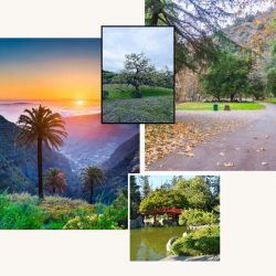 Heidi Blair San Jose – Enchanting Natural Treasures of San Jose