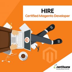 Hire Dedicated Magento Developer | Nethues Technologies