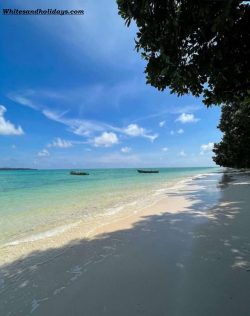 Holiday Packages Andaman Nicobar Islands