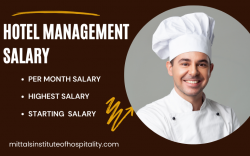 Hotel management salary