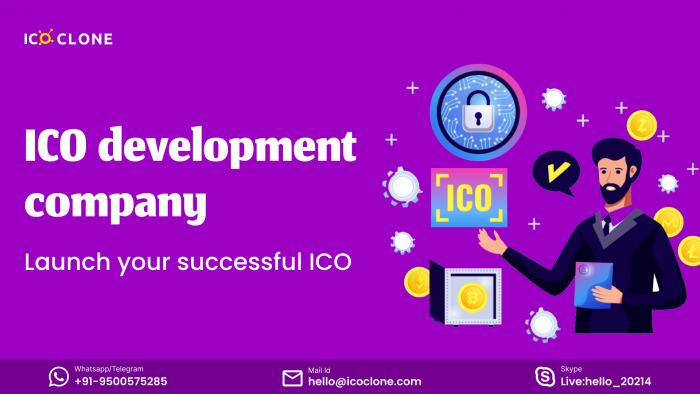 Find the Best ICO Script for Your Project