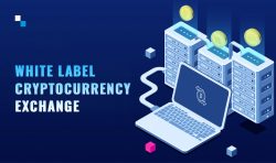 Kick Start Your White Label Cryptocurrency Exchange Development