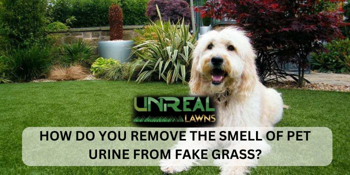 HOW DO YOU REMOVE THE SMELL OF PET URINE FROM FAKE GRASS?