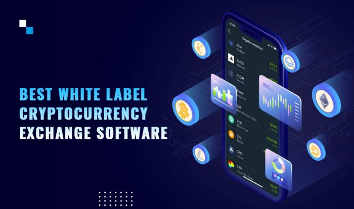 Factors Affecting the Cost of White Label Crypto Exchange Software