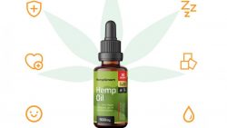 Is Smart Hemp CBD Oil Beneficial For Everyone?