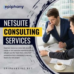 Drive Business Growth with Reliable NetSuite Consulting Services