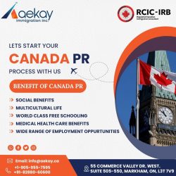 Immigration Consulting Services in Toronto – Aekay Immigration