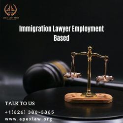 Immigration Lawyer Employment Based