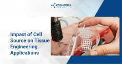 Impact of Cell Source on Tissue Engineering Applications