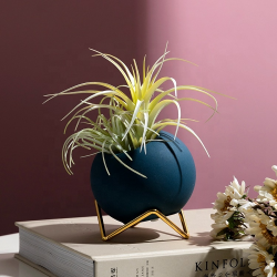 Indoor Pots: Give Your Plants a Home