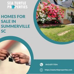 Discover Your Dream Home in Summerville, SC with Sea Turtle Properties