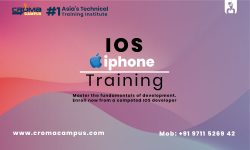 iPhone Online Training in India