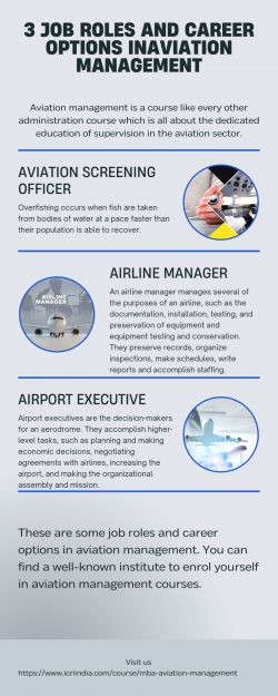 3 Job Roles and Career Options in Aviation Management